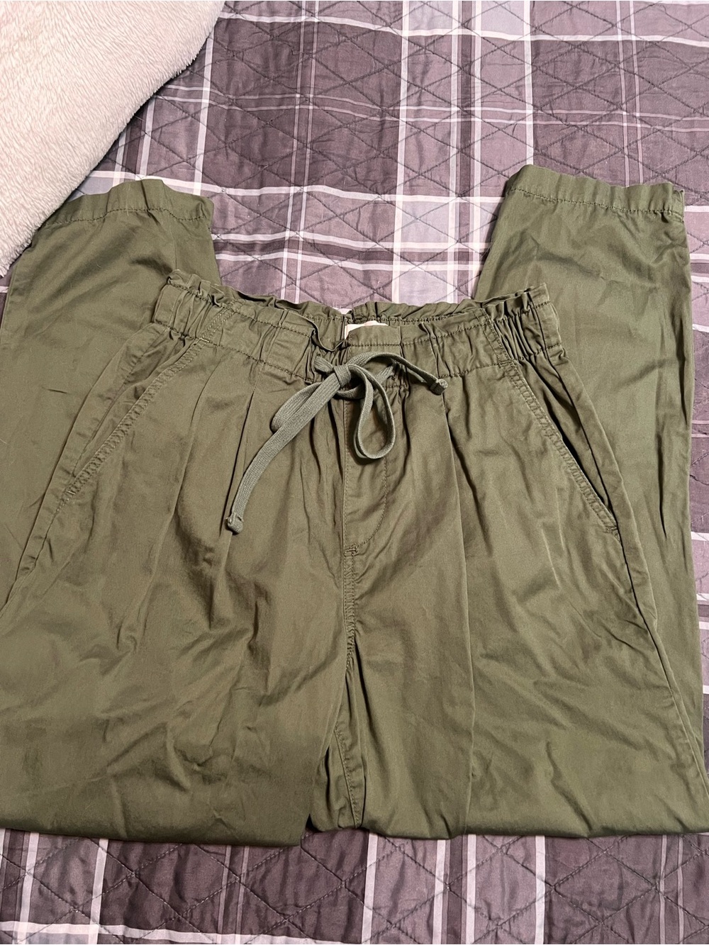 LOFT Olive Drawstring Chinos - Picture 4 of 4